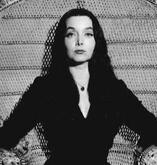 morticia addams morticia addams